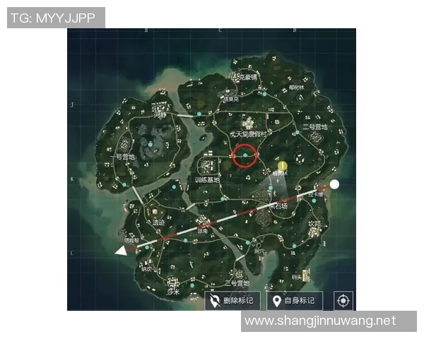 esports最新数据和平精英热点分析IG战队区域防守策略与战术解读